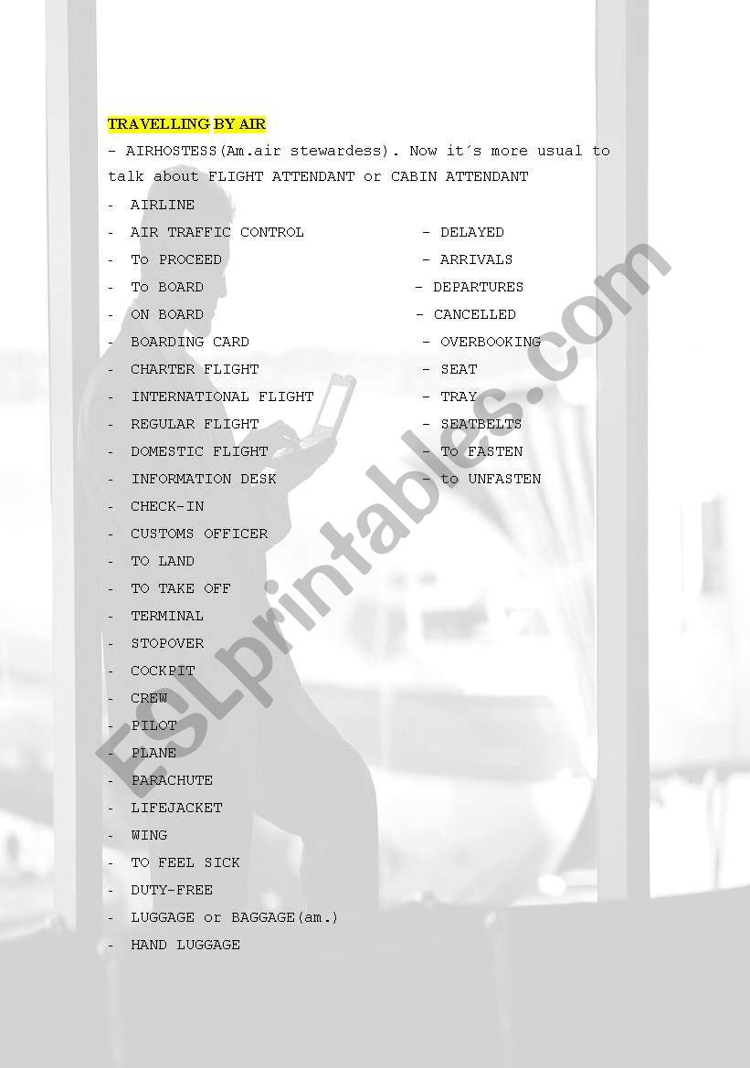 TRAVELLING BY PLANE worksheet