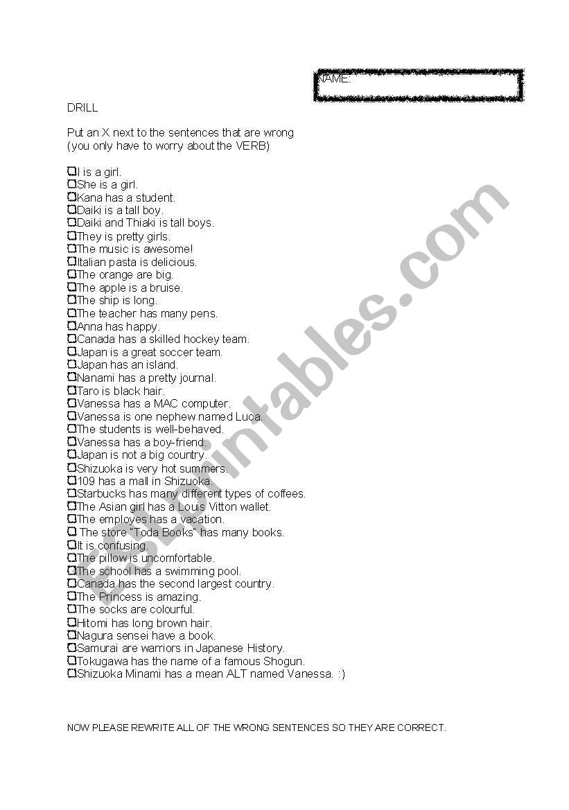 To Be / To Have Worksheet worksheet