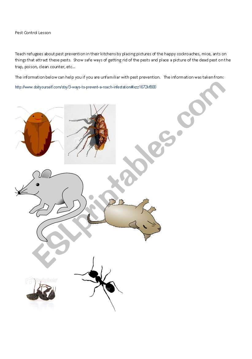 Pest Prevention worksheet