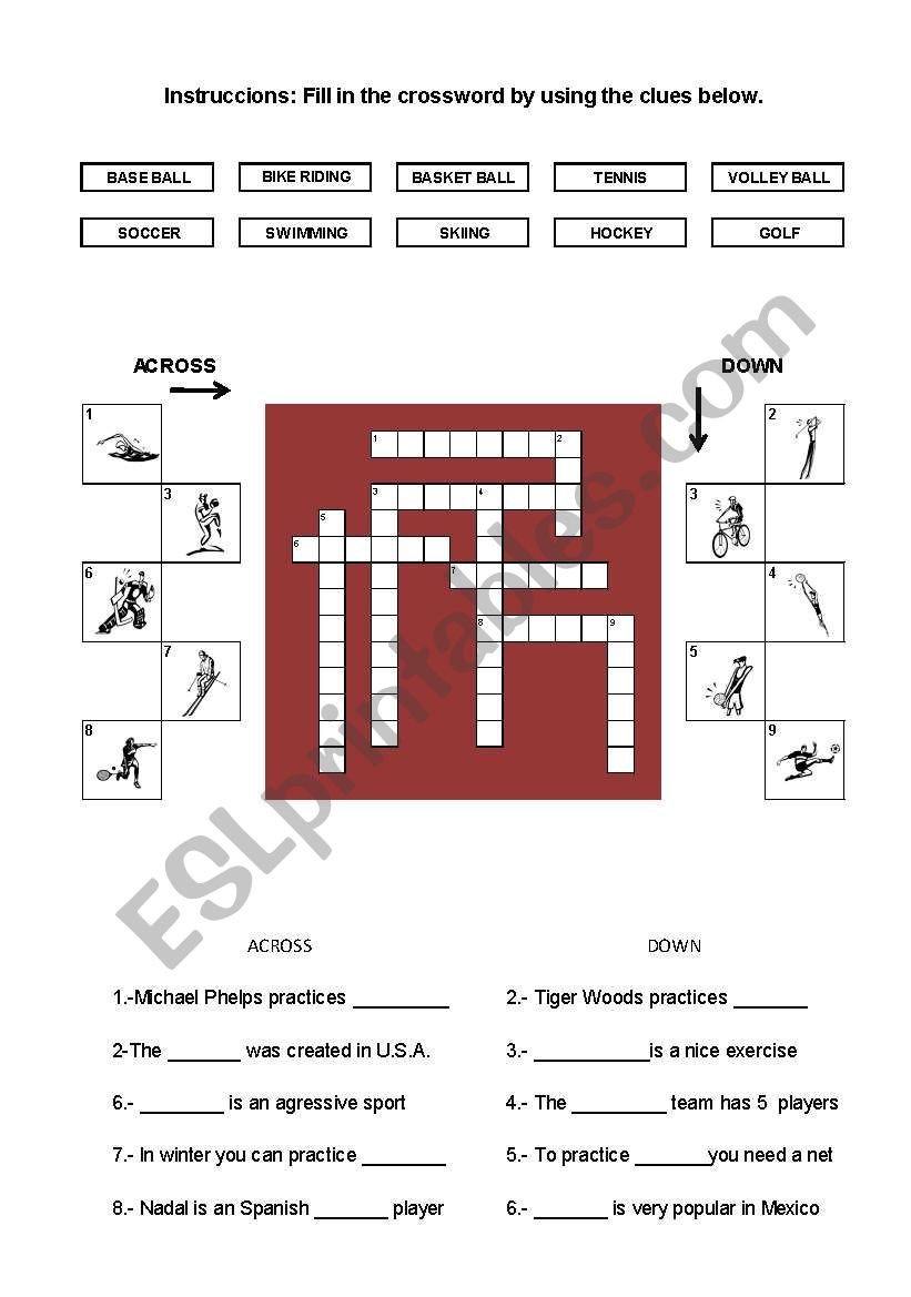 sports crossword worksheet