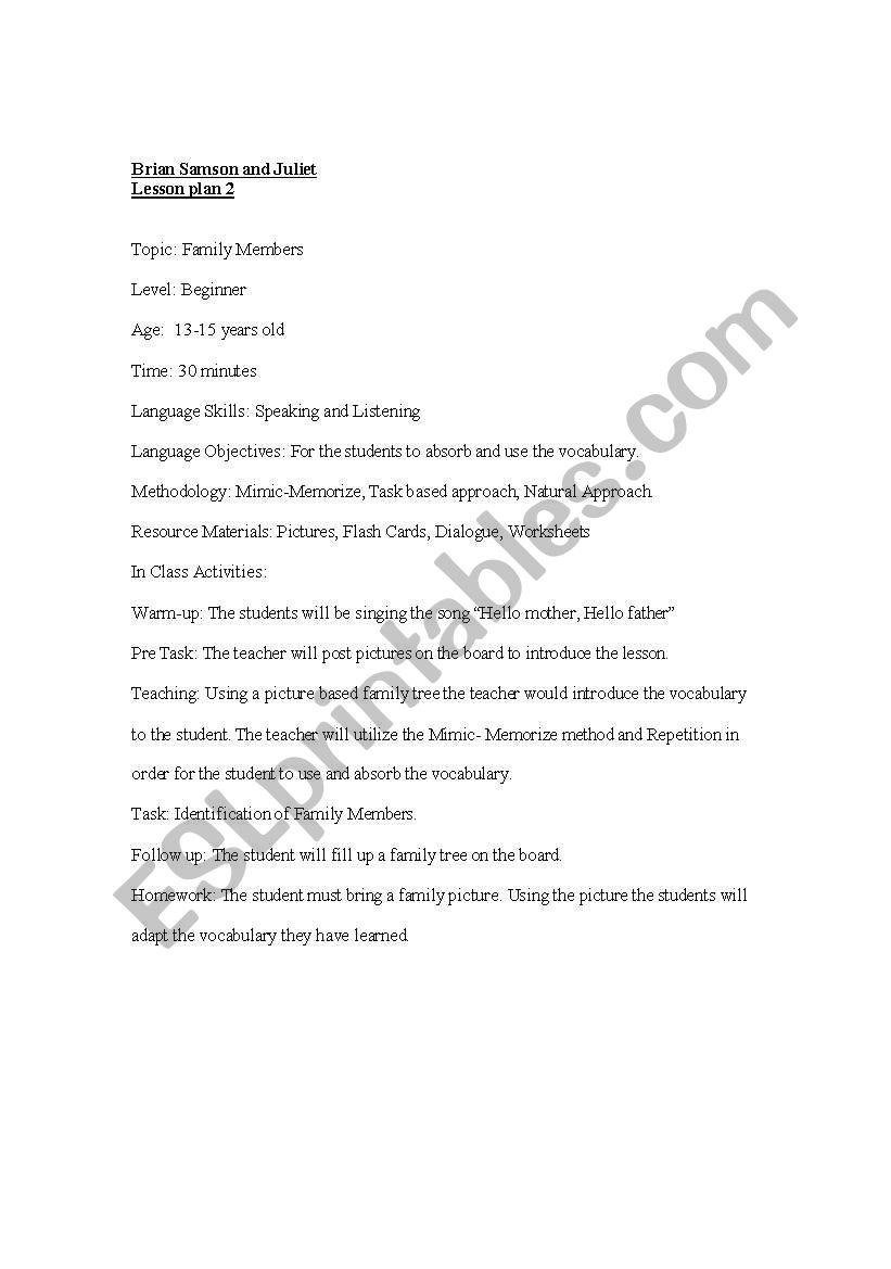 lesson plan worksheet