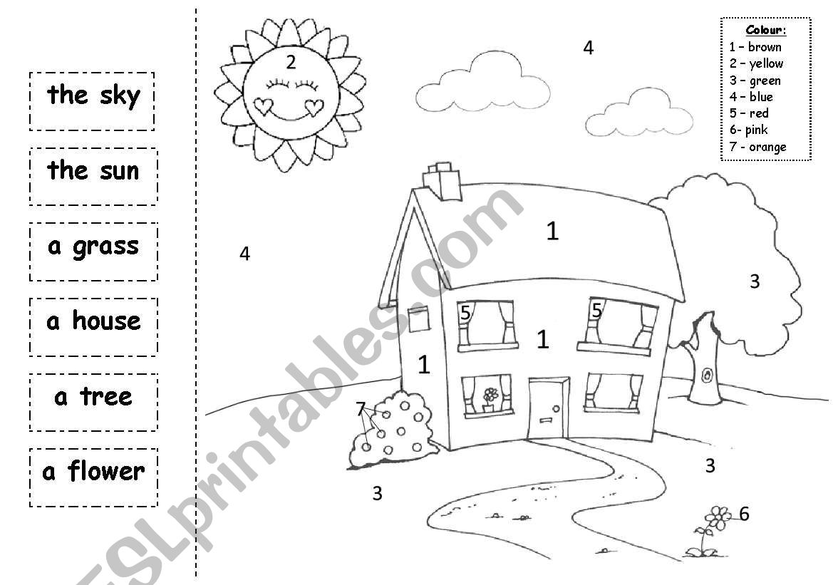 First steps in English + colouring