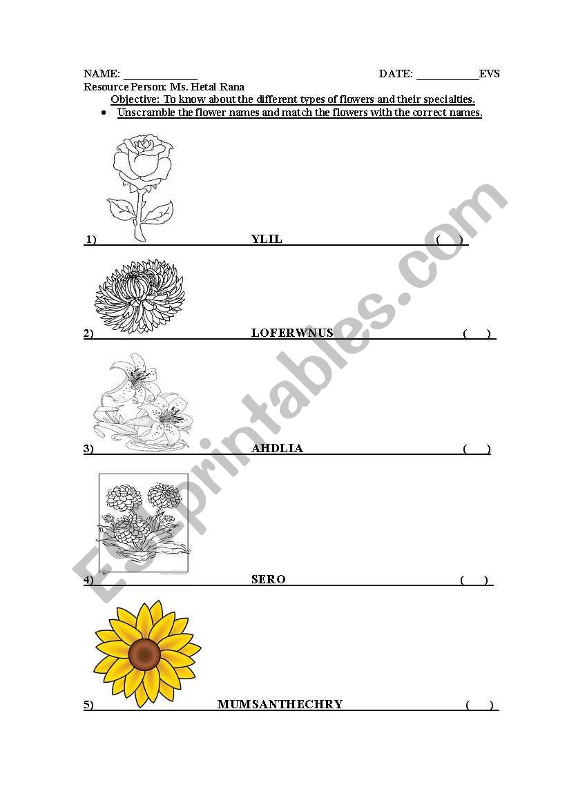 flowers worksheet