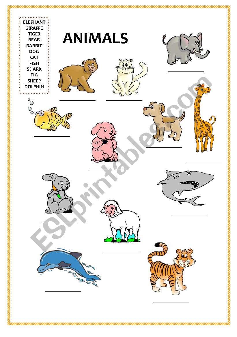 Animals 1 worksheet