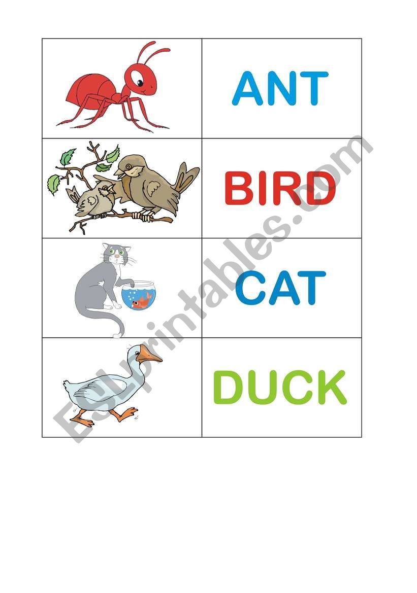 Alphabet with pictures worksheet