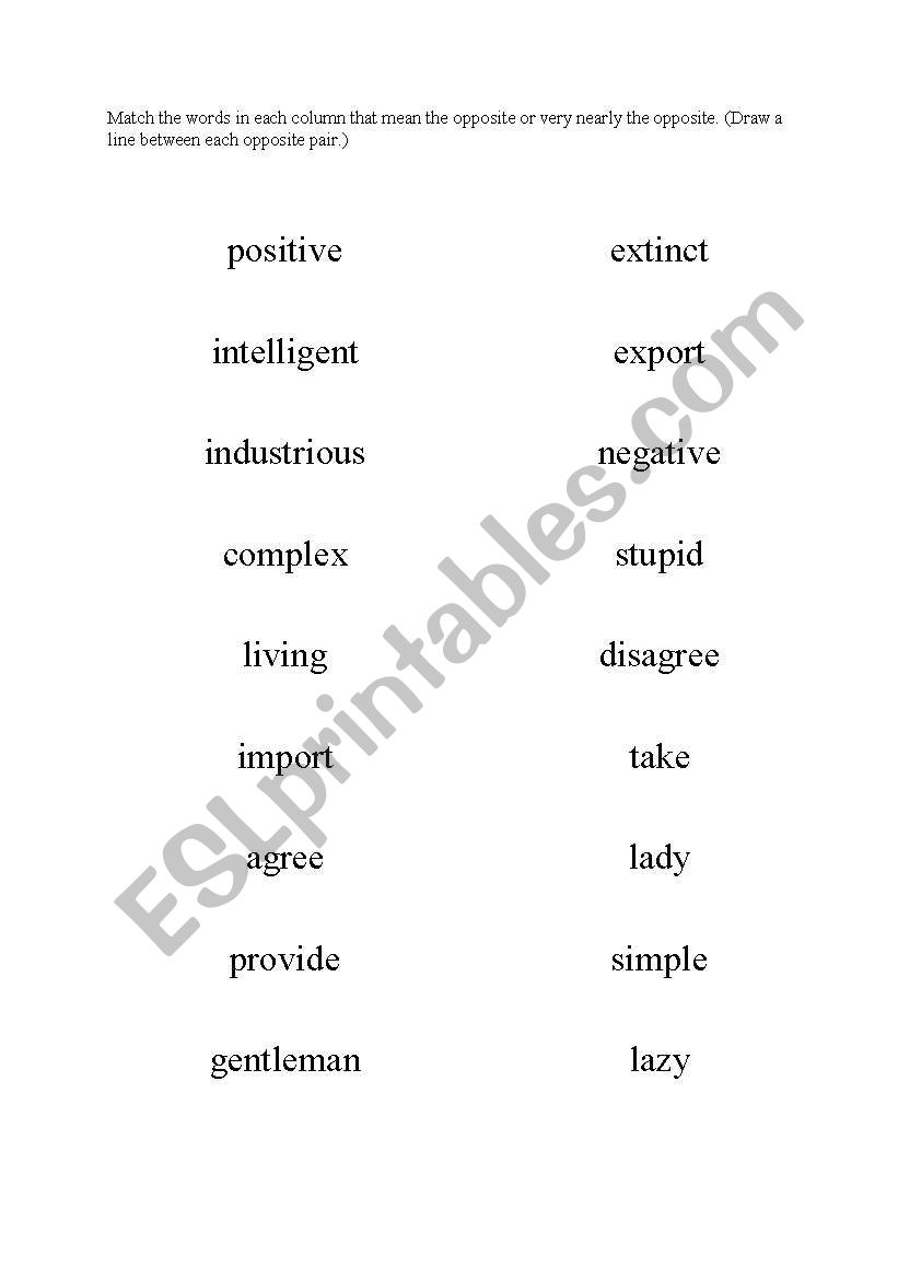 Opposite words worksheet