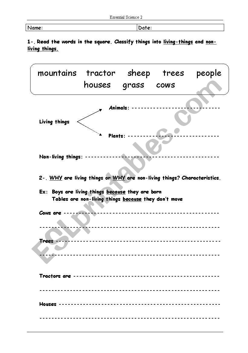 Science worksheet