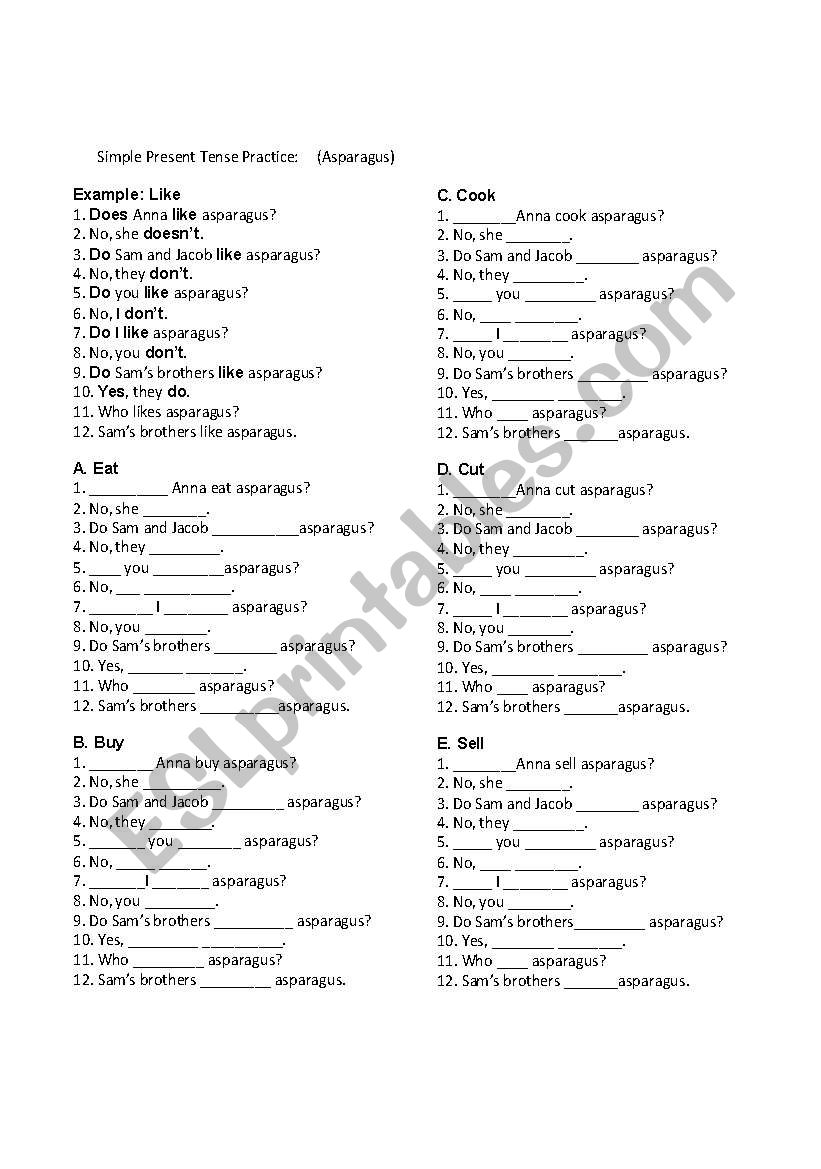 Present Simple Tense Practice/Drill