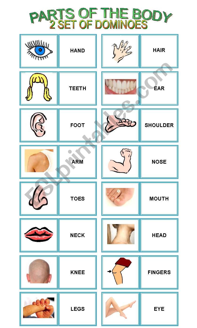 PARTS OF THE BODY- 32 DOMINOES -RULES INCLUDED