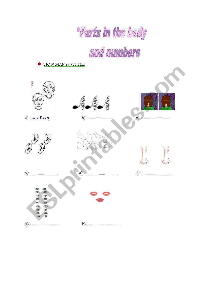 parts in the body worksheet