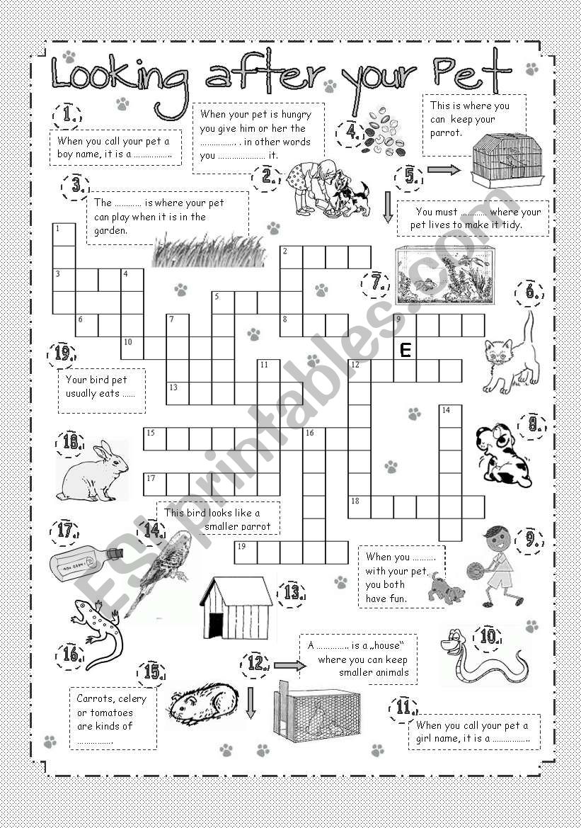 Crossword - Looking after your Pet