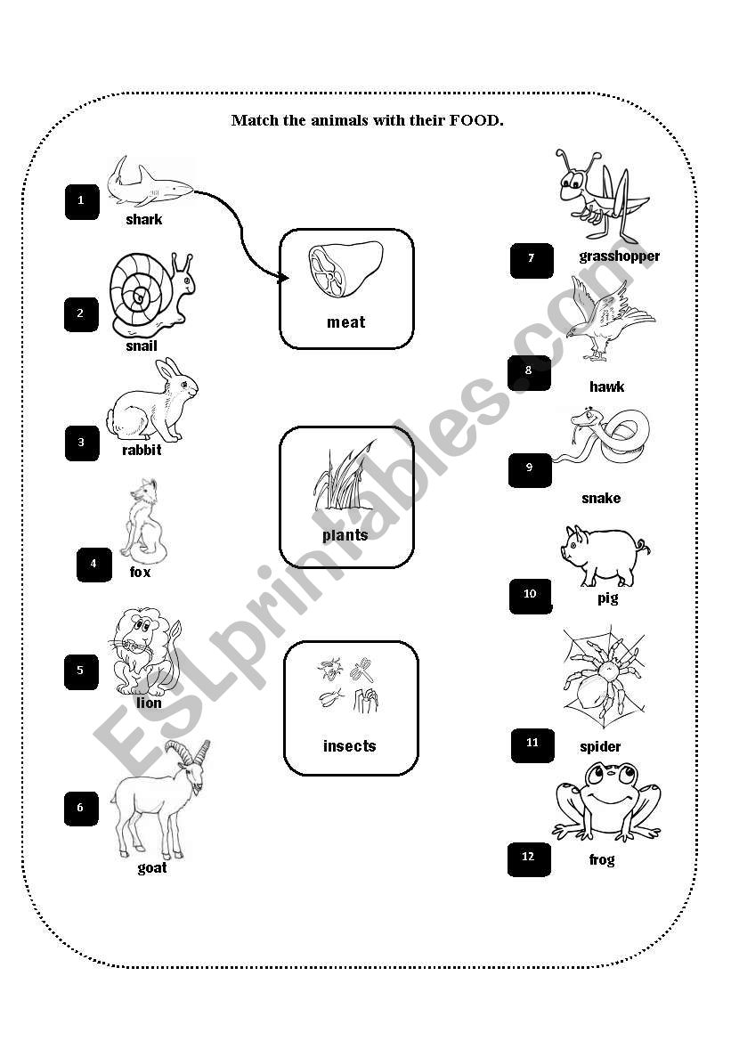 Animal movements worksheet