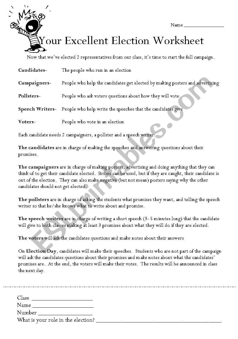 Voting worksheet worksheet