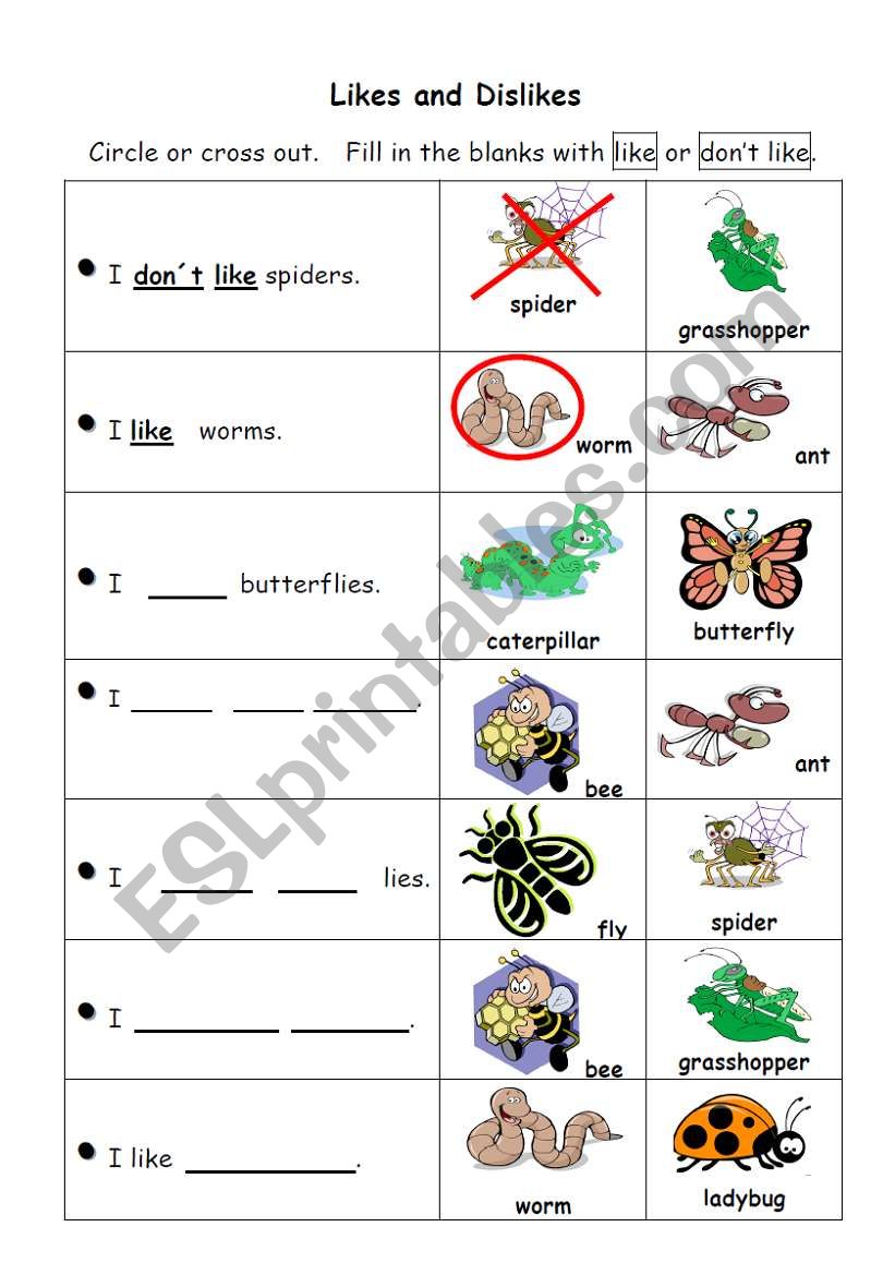 Likes and Dislikes (Insects) worksheet