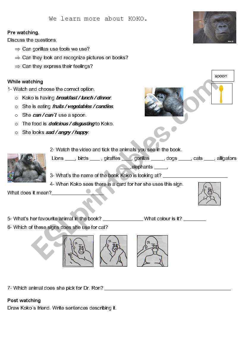 KOKO worksheet