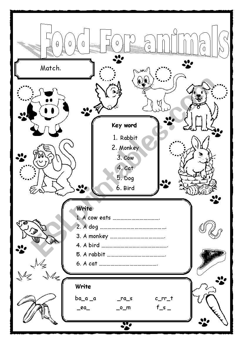 Food For animals worksheet