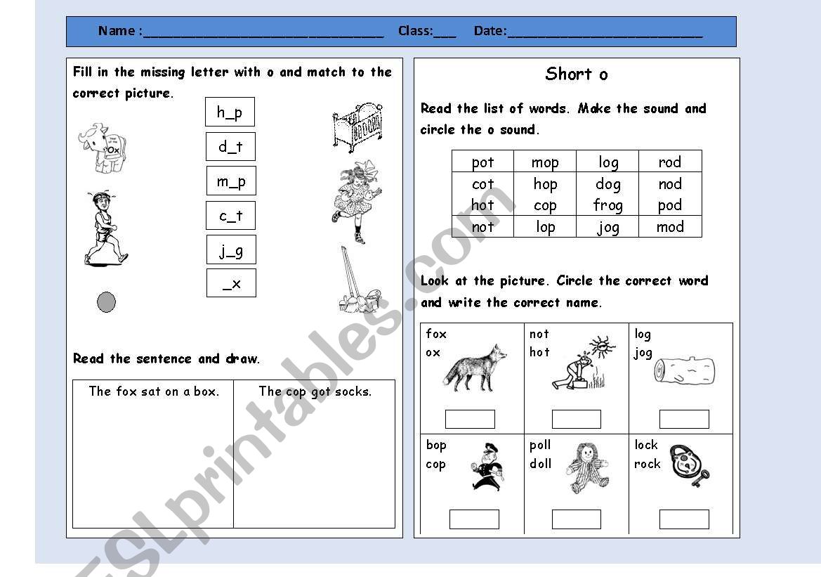 short o worksheet