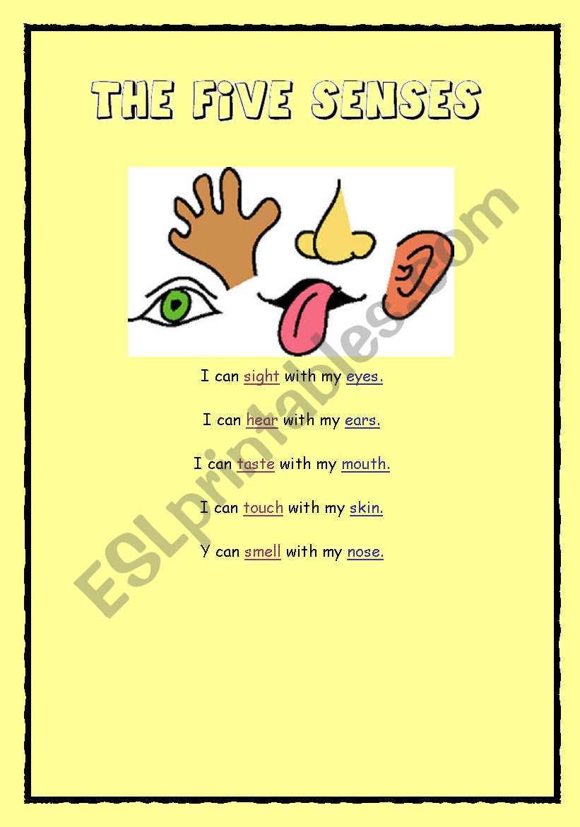 My five senses worksheet