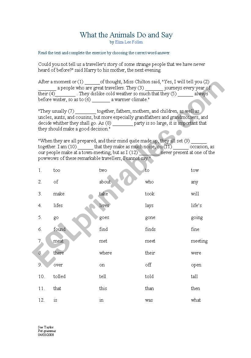 Pet exam Grammar exercise for exam practise