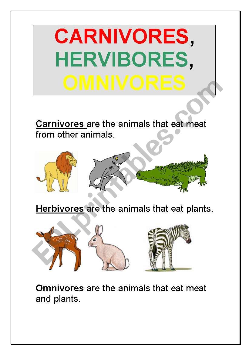 Carnivores, Herbivores, Omnivores