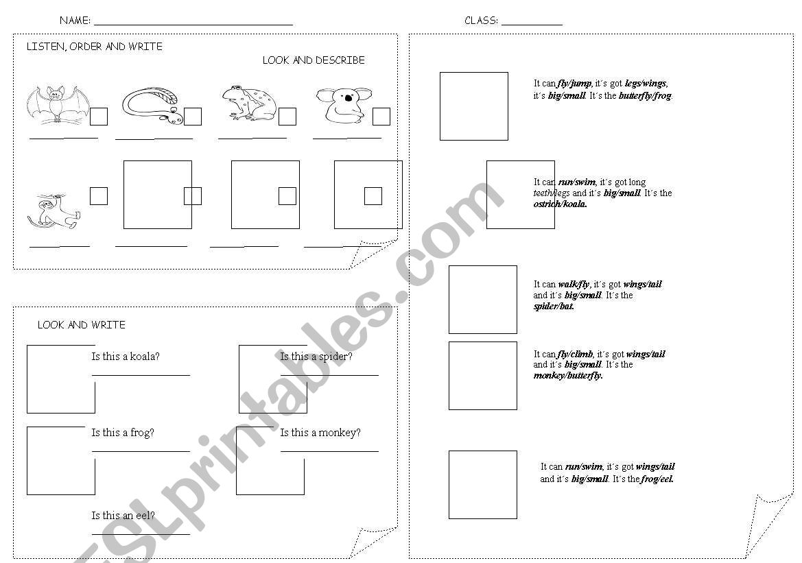 revision of animals worksheet