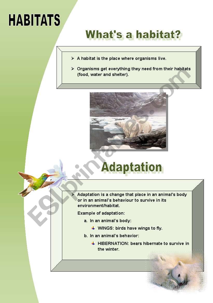 HABITATS 1 worksheet