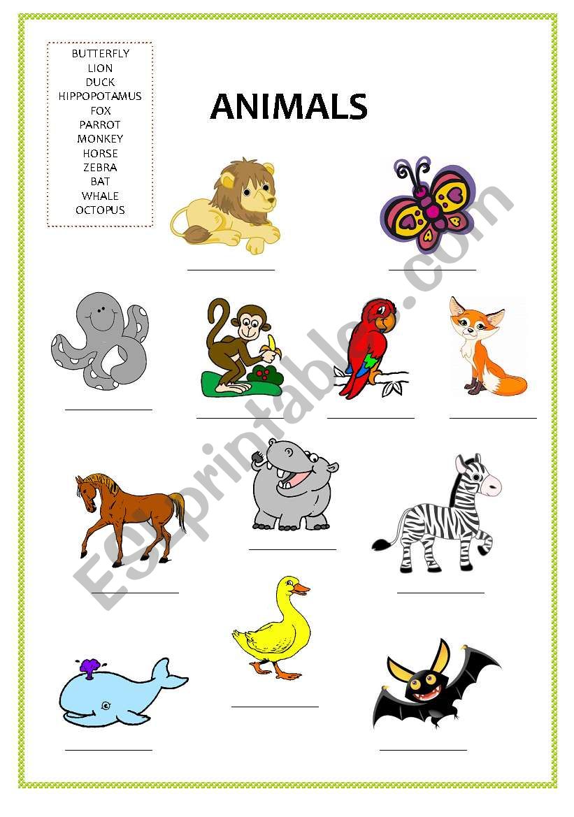 Animals 2 worksheet