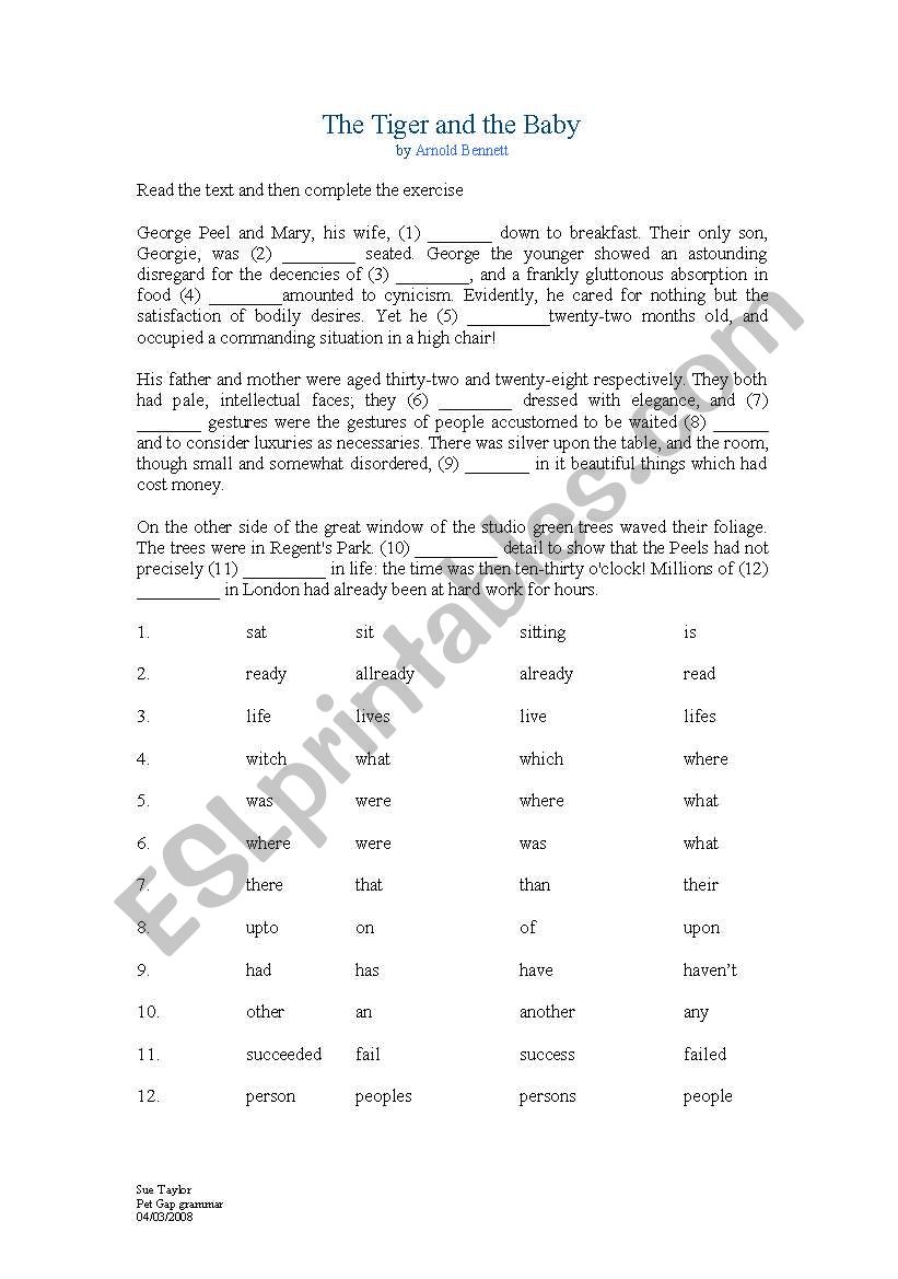 Pet Exam gapped grammar practise sheet