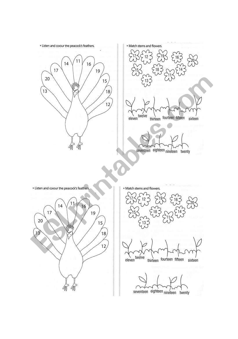 lets count! worksheet