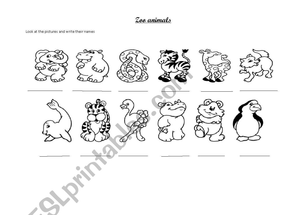 zoo animals  worksheet