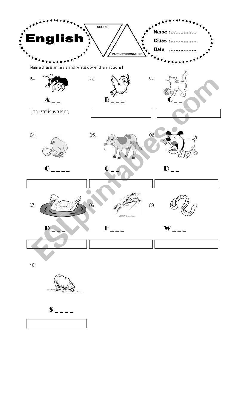 animals action worksheet