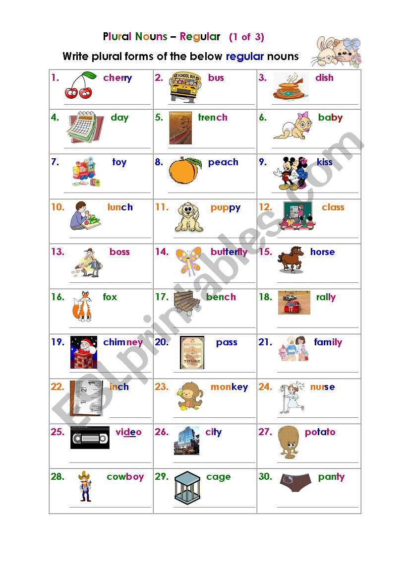 Plural Nouns â€“ Regular (1 of 3) 