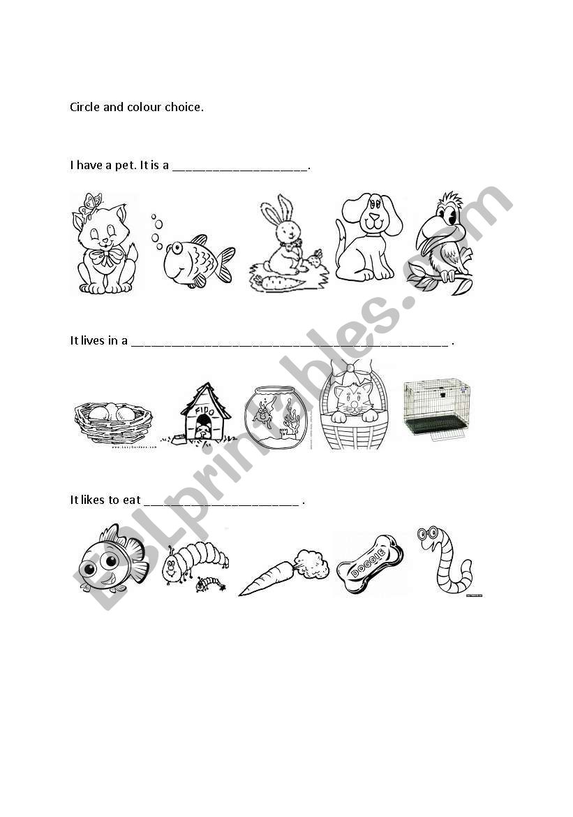 hobby worksheet