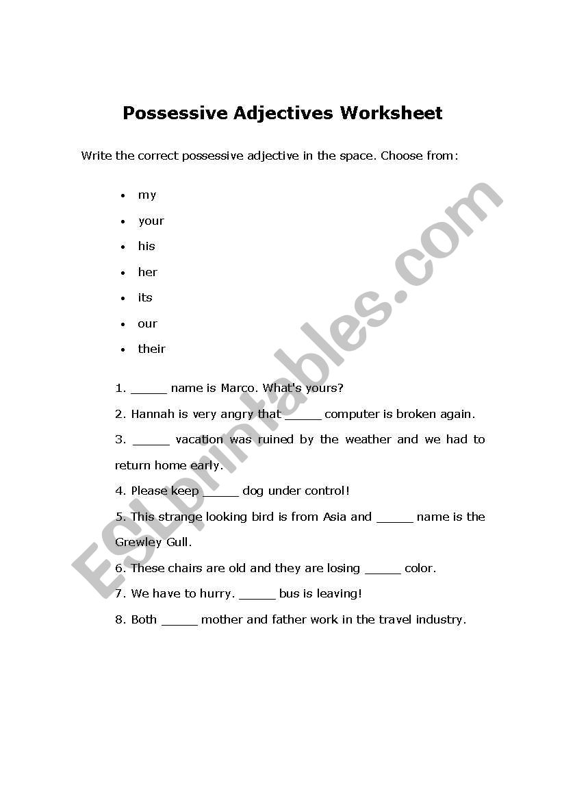 Possessives worksheet