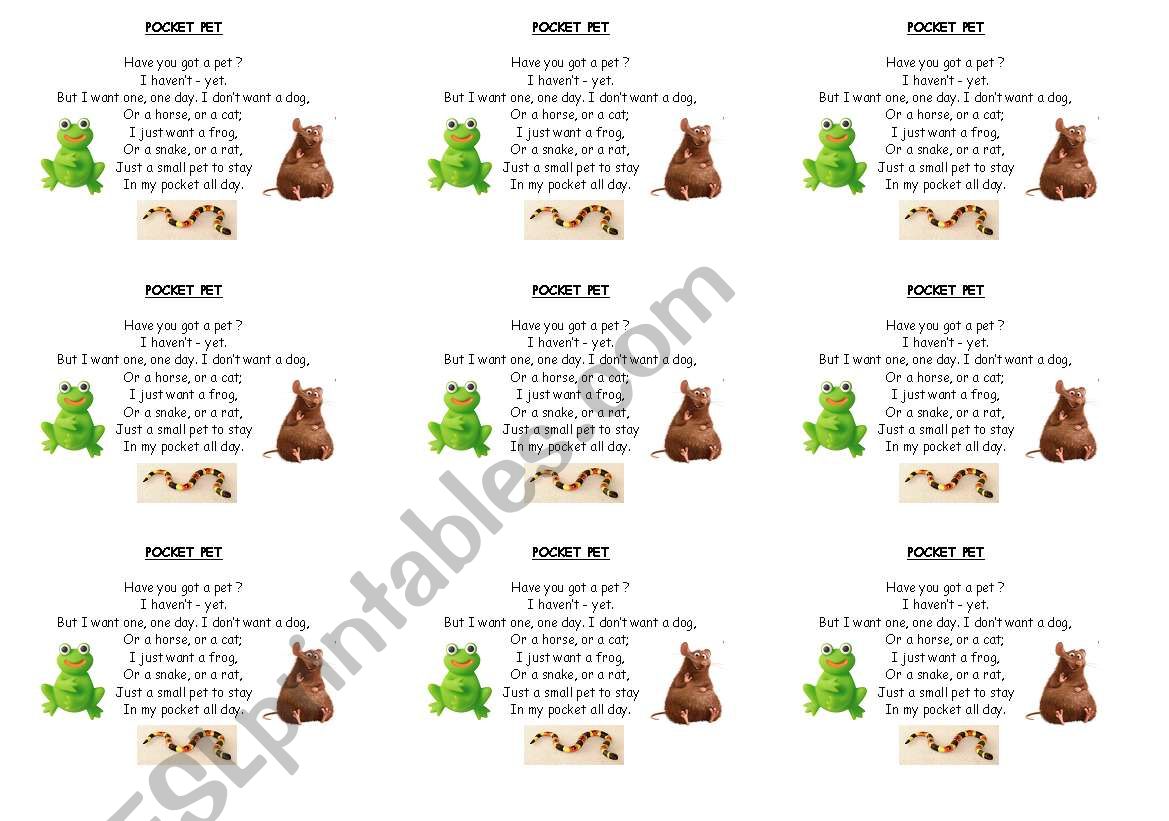 Pocket pet worksheet