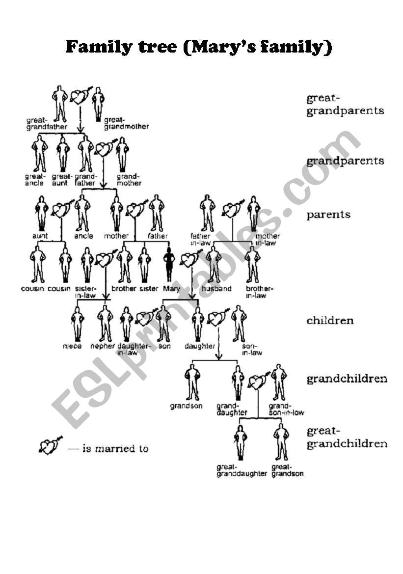 family tree worksheet