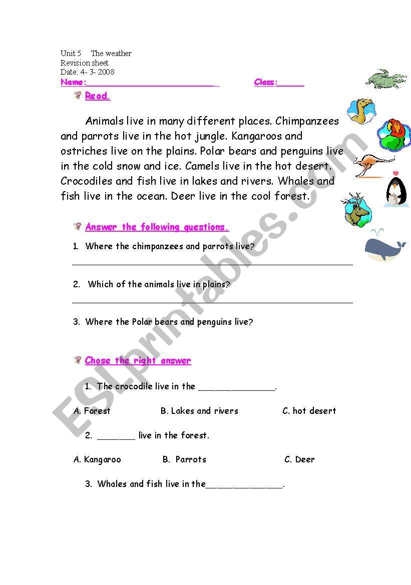 read and write worksheet