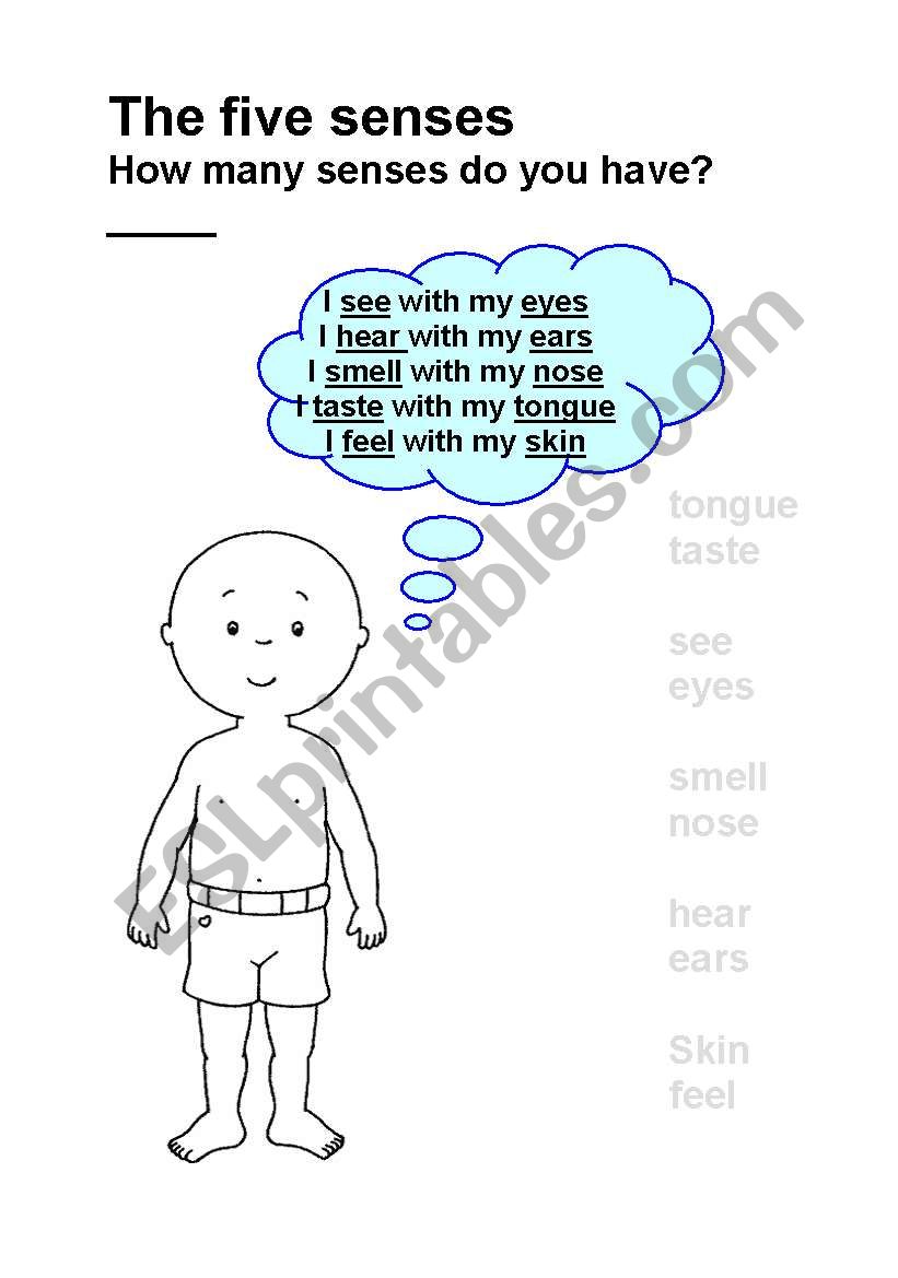 The five senses worksheet