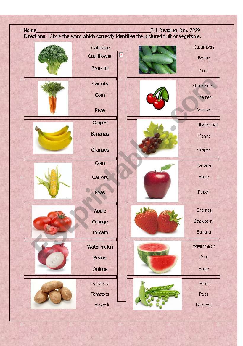 A Healthy Diet worksheet