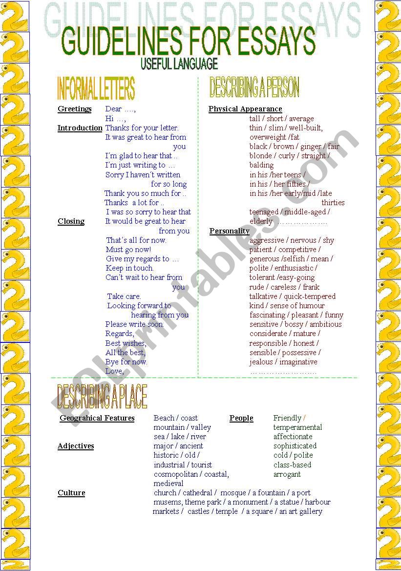 Guidelines for essays (2/ 2) worksheet