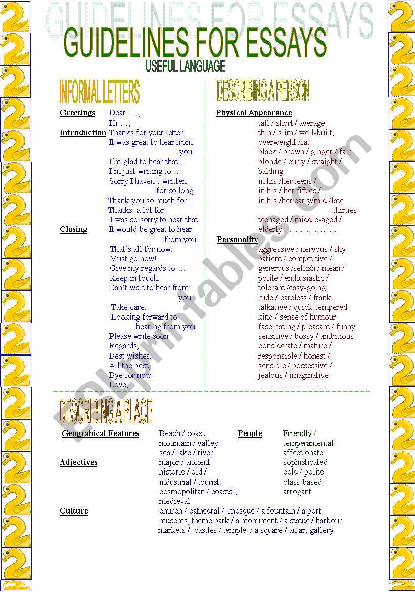 Guidelines for essays (2/ 2) worksheet