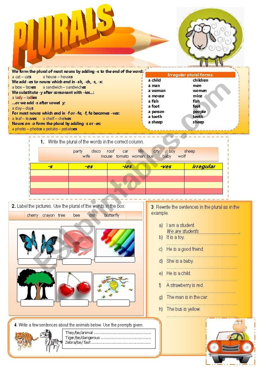 THE PLURAL OF NOUNS + KEY worksheet