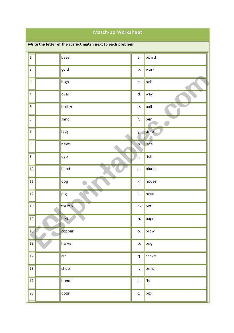 Match Up Worksheet worksheet