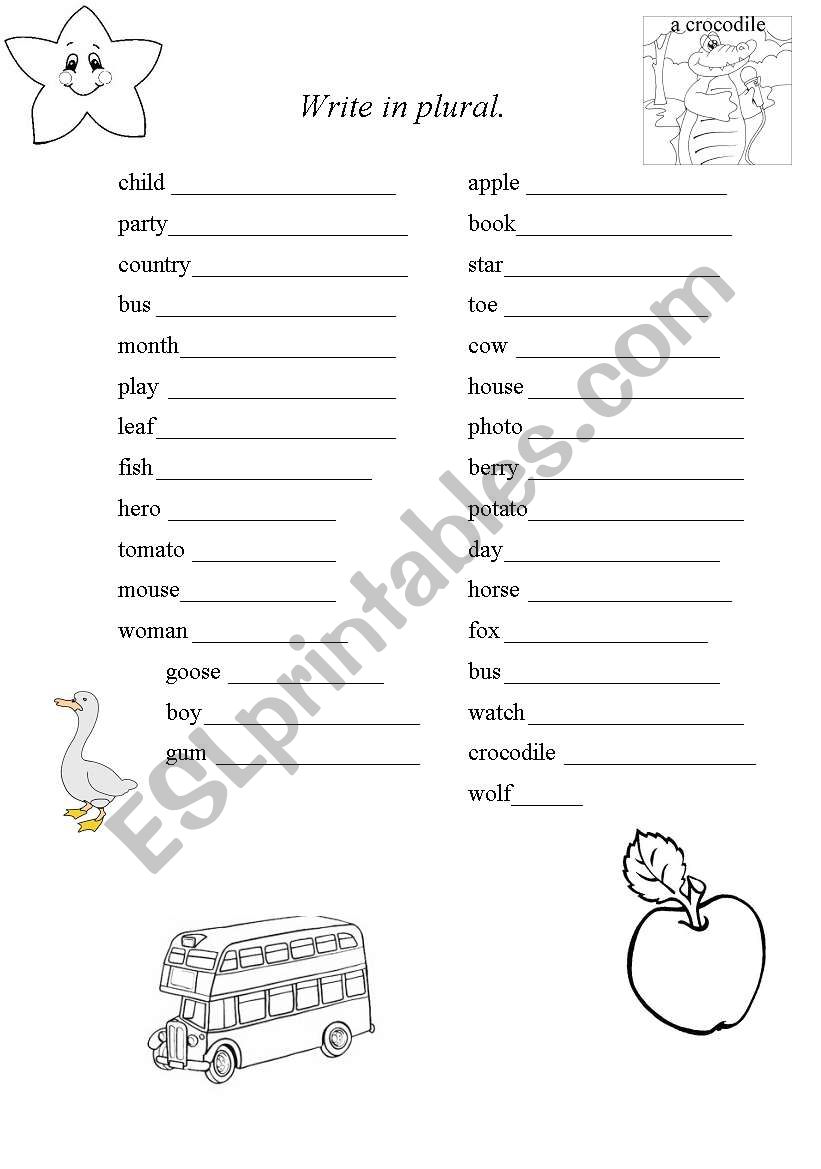 Write in plural worksheet