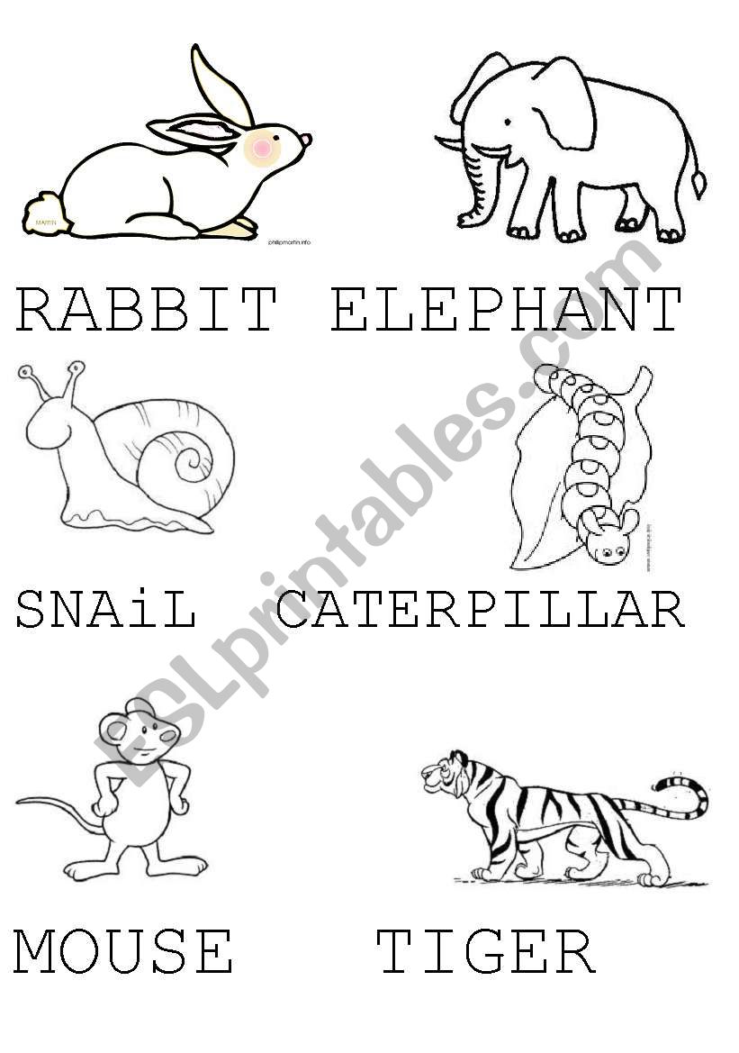 RABBIT,ELEPHANT,SNAIL, CATERPILLAR.... ESL KINDERGARTEN  Students with special needs