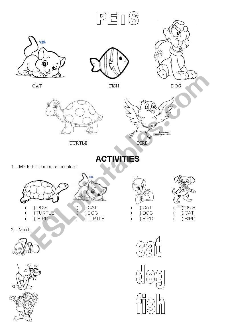 Pets worksheet