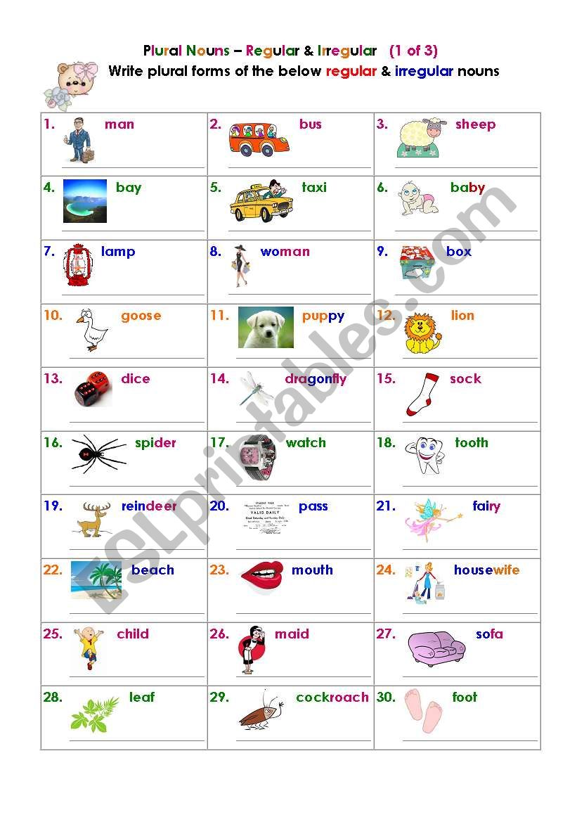 Plural Nouns  Regular & Irregular (1 of 3)