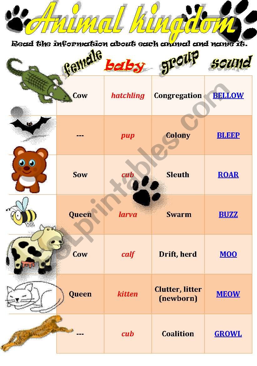 ANIMALS: baby animals, females, groups and sounds