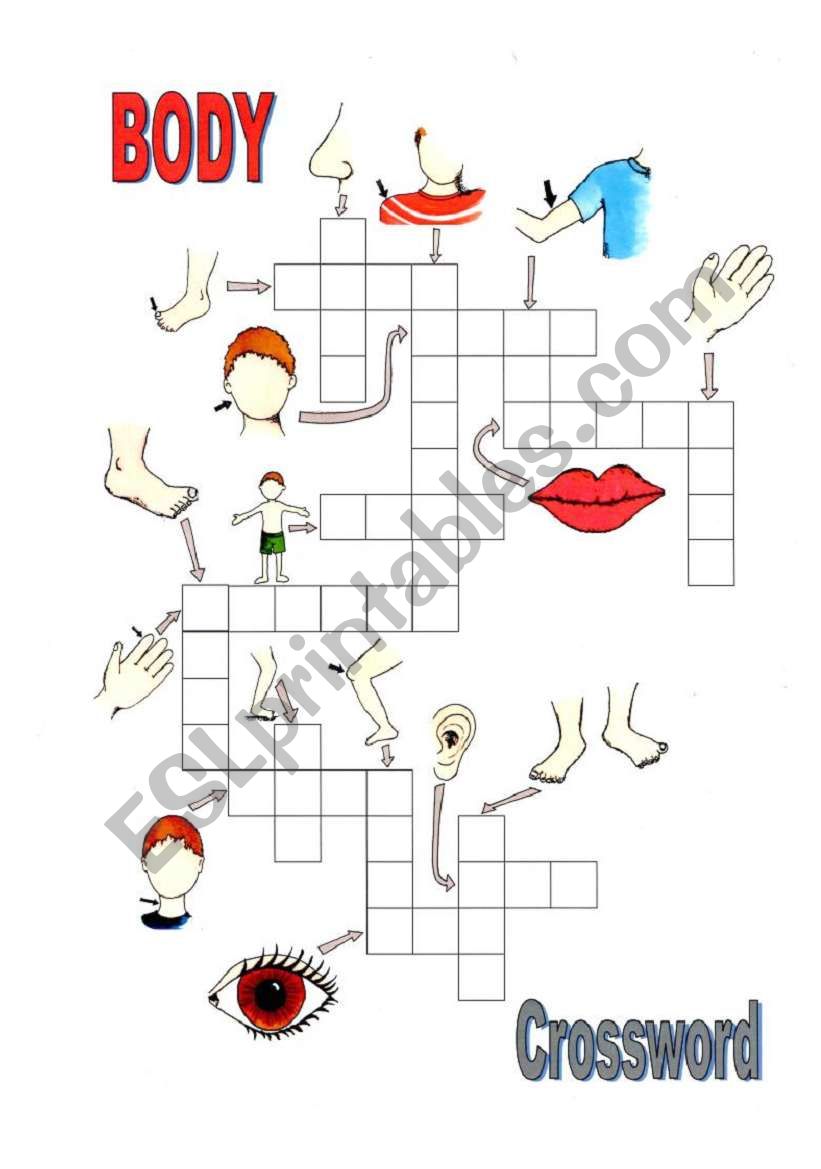 Body Crossword worksheet