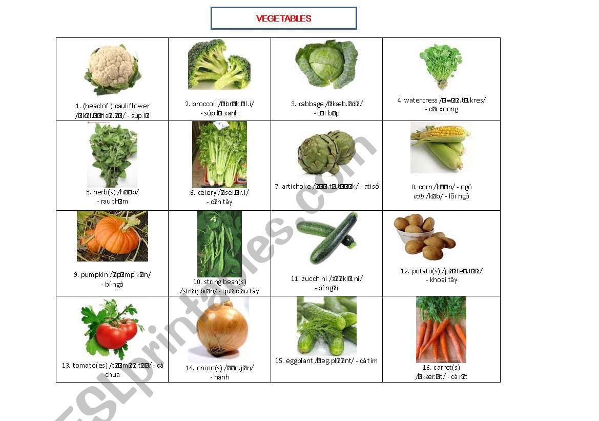 VEGETABLES worksheet